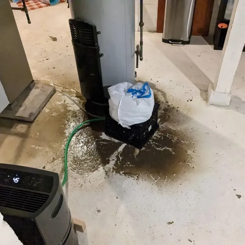 Sewage Backup Cleanup Service in Ackerman, MS